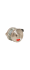 Ручка Fuaro (Фуаро) поворотная BK8.R.DSS304-button с индикатором INOX 304